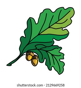 Leaf and walnut vector illustration