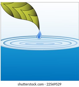 leaf with water drop