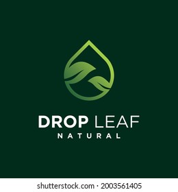 Leaf water drop and aqua house logo design element home symbol 