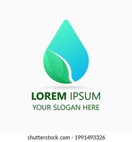 leaf and water drop logo design template. modern style logo. water and leaf illustration vector