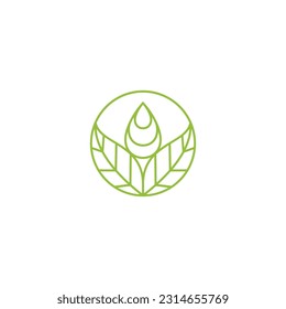 Leaf water drop logo in minimalist and simple line art style