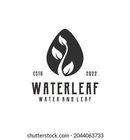 Leaf Water Drop Logo Silhouette Retro Vntage