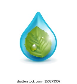 leaf in water droplet isolated on white background