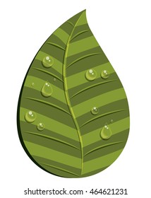 leaf with water droplets isolated icon design, vector illustration  graphic 