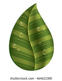 leaf with water droplets isolated icon design, vector illustration  graphic 