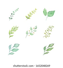 Leaf Watercolor Pack Include Plant, Floral, Herb, that can combined to make a Garden, Forest, or Jungle.