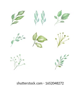 Leaf Watercolor Pack Include Plant, Floral, Herb, that can combined to make a Garden, Forest, or Jungle.