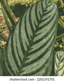 plantilla de ilustración de vector de color de agua de hoja