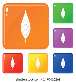 Leaf of willow icons set collection vector 6 color isolated on white background