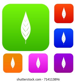 Leaf of willow set icon color in flat style isolated on white. Collection sings vector illustration