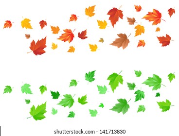 Leaf in Wind