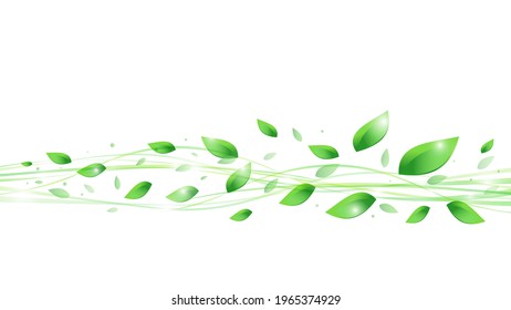 leaf, wind, eco vector illustration white background material