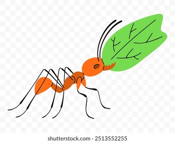 Leafcutter ant move along a trail with leaf, graphic design. Insects, animals, nature, plants and leaves, vector design and illustration