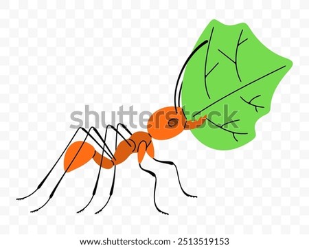 Leafcutter ant move along a trail with leaf, graphic design. Insects, animals, nature, plants and leaves, vector design and illustration