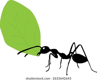 Leafcutter Ants carrying a leaf to their nest