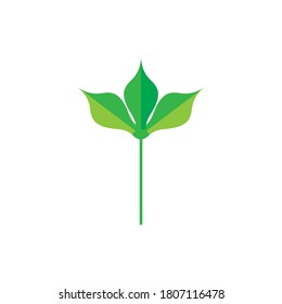 diseño de logotipo de hoja ilustración tempat vectorial
