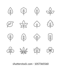 Leafes lines icons set