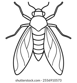 Leafhopper insect flat vector illustration on white background