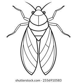 Leafhopper insect flat vector illustration on white background