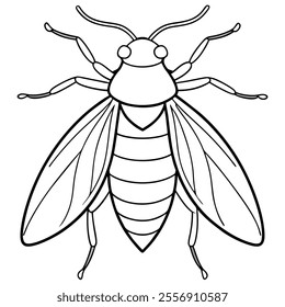 Leafhopper insect flat vector illustration on white background