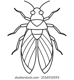 Leafhopper insect flat vector illustration on white background