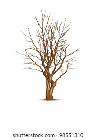 Leafless dry tree, vector illustration, eps10