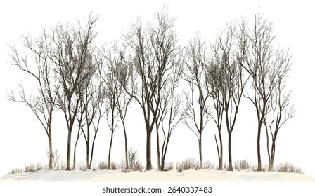 Leafless dry trees, vector illustration, isolated, transparent background, drought, barren landscape, nature, silhouette, seasonal, arid, environment