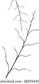 Leafless slender twig branch showing delicate offshoots and silhouette