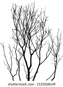 Leafless tree branches vector silhouette isolated on white background, fill with black color dried tree branch, shadow idea, nature vector concept