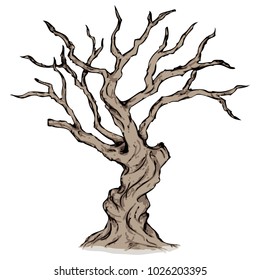 Leafless Tree, Dead Tree, Dry Tree, Trunk, and Branches [Vector]