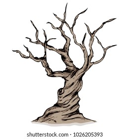 Leafless Tree, Dead Tree, Dry Tree, Trunk, And Branches [Vector]