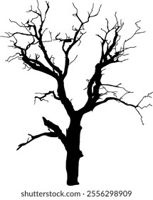 Leafless tree silhouette isolated on transparent background. Vector illustration.