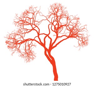 Leafless tree silhouette on white background. Fine detailed realistic illustration. EPS10