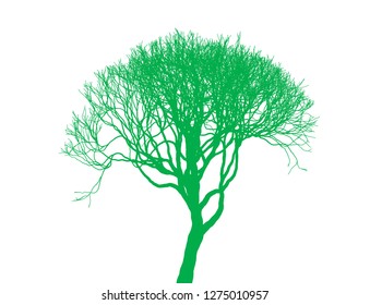 Leafless tree silhouette on white background. Fine detailed realistic illustration. Isolated design element.