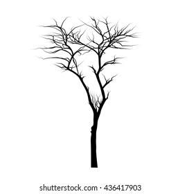 Leafless tree silhouette on a white background 