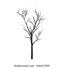 Leafless tree silhouette on a white background 
