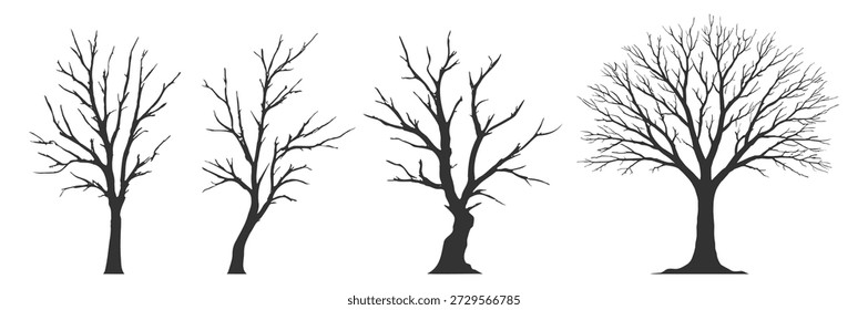 Conjunto de silhueta de árvore sem folhas, ramos nus de inverno ilustração do vetor da floresta da natureza, matas secas assustadoras da floresta gótica halloween em fundo transparente
