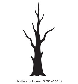Leafless Tree Silhouette Winter Landscape