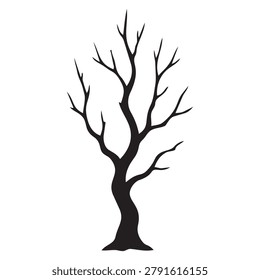 Leafless Tree Silhouette Winter Landscape