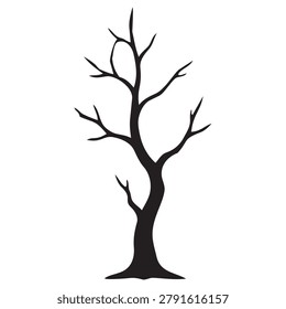 Leafless Tree Silhouette Winter Landscape