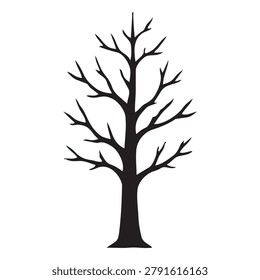 Leafless Tree Silhouette Winter Landscape