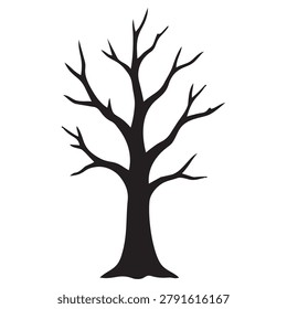 Leafless Tree Silhouette Winter Landscape