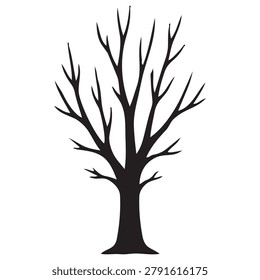 Leafless Tree Silhouette Winter Landscape