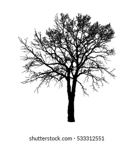 Leafless tree, vector illustration, eps10