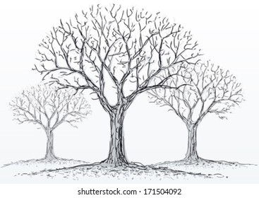leafless trees