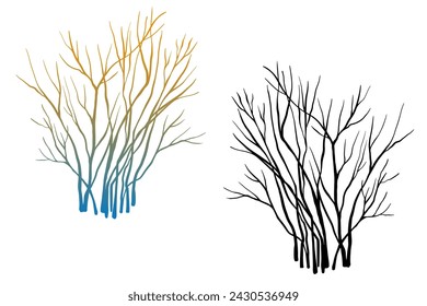 Leafless winter bush. Hand drawn colourful sketch. Line art. Black and white design element on white background. Isolated. Tattoo image.