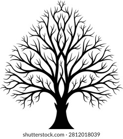 Leafless winter tree silhouette with spade shaped crown isolated