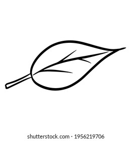Leaflet. Leaves from color or tree. Flora. Cartoon style. Vector illustration for design and decoration.