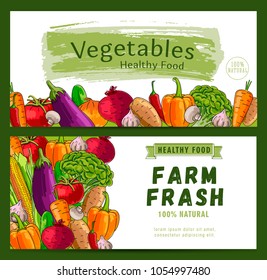 Leaflet template with bright colorful vegetables illustration on white background with brush strokes