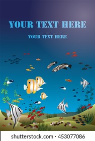 Leaflet width tropical fishes bottom of the ocean